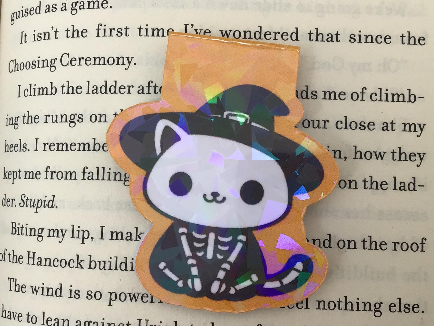 Halloween Cat Magnetic Bookmark: Costume Animal Page Marker